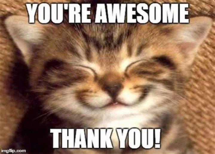 101 Funny Thank You Memes to Say Thanks for a Job Well Done