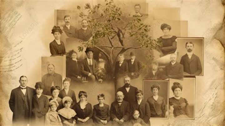 Ancestry And Family History Explored