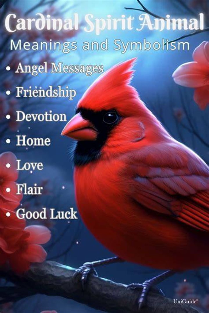 Cardinal Spirit Animal Symbolism & Meaning AZ Animals