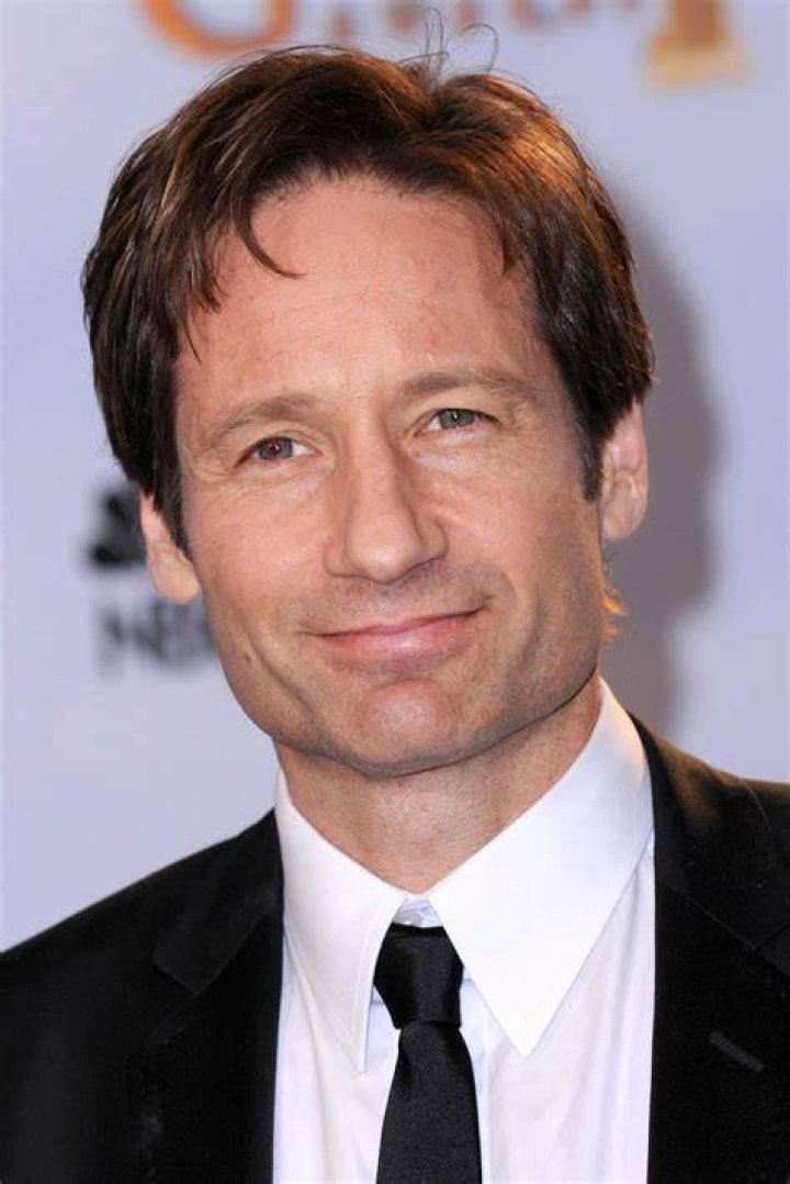 David Duchovny Biography Childhood, Life Achievements & Timeline