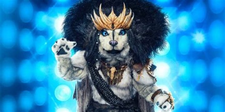 The Masked Singer Season 10 (2023) Premiere, Judges, Finalists