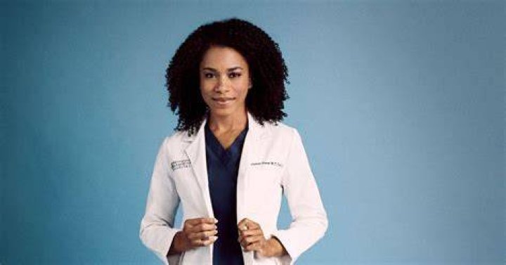 Unraveling The Reasons Behind Maggie Pierce's Departure From Grey's Anatomy