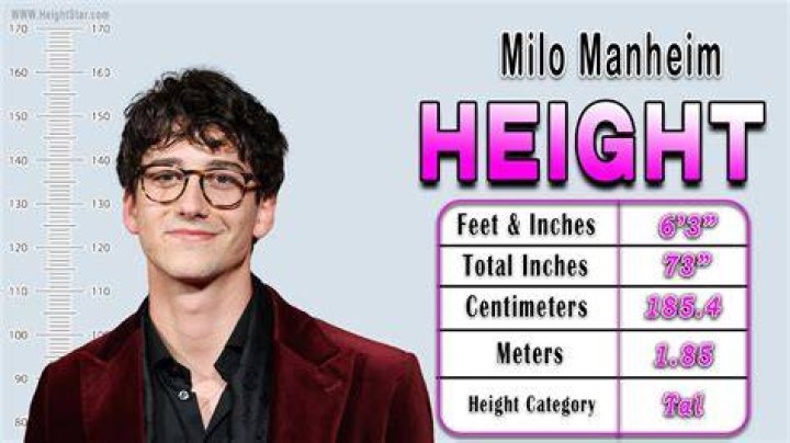 Unveiling Milo Manheim's Height: A Comprehensive Guide