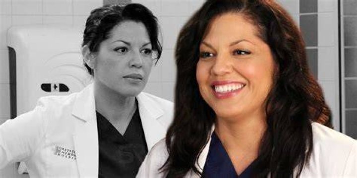 Why Callie Torres Left Grey's Anatomy: Unraveling The Reasons